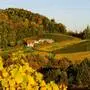 Steirische Weinberge | Im steirischen Gabersdorf (Bild) freut sich Bürgermeister Hierzer über viele Junge in der Gemeindepolitik