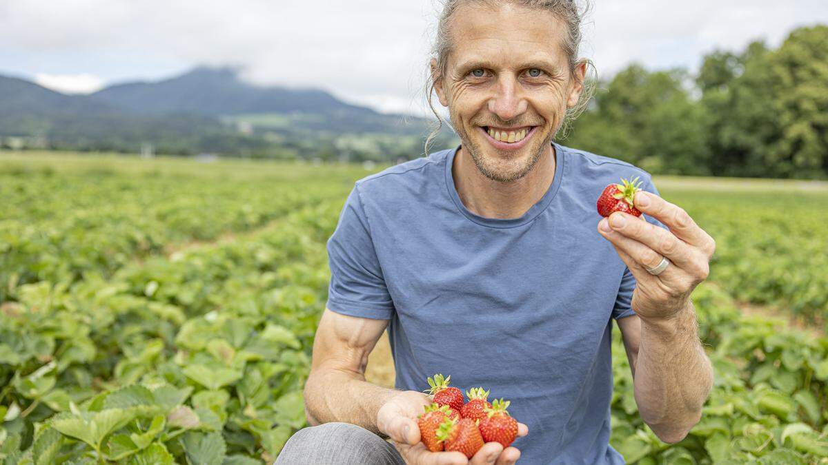 Daniel Dörfler mit einer Handvoll Bio-Erdbeeren.