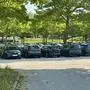 Mehrere Autos parken auf einem Parkplatz, auf dem auch mehrere Bäume stehen | „Egoistisches Verhalten“ auf den kostenlosen Parkplätzen der Stadt sorgt derzeit für Diskussionen im Netz