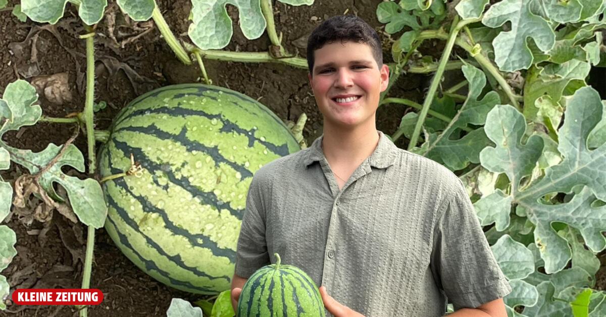 Melonen aus dem Murtal: Erfolgreicher Feldversuch eines 18-Jährigen