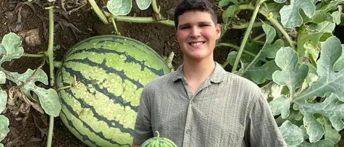 Jakob Hassler erntet für seine Mini-Wassermelonen viel positive Resonanz