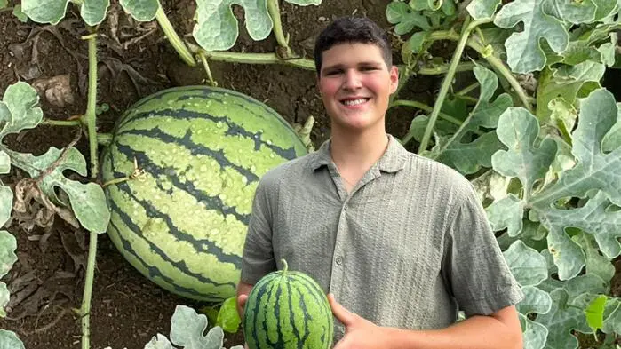 Jakob Hassler erntet für seine Mini-Wassermelonen viel positive Resonanz