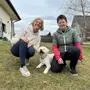 Hundetrainerin Anita Techt, Hund Franzi und seine Besitzerin Helga Schauperl (v. l. n. r.)