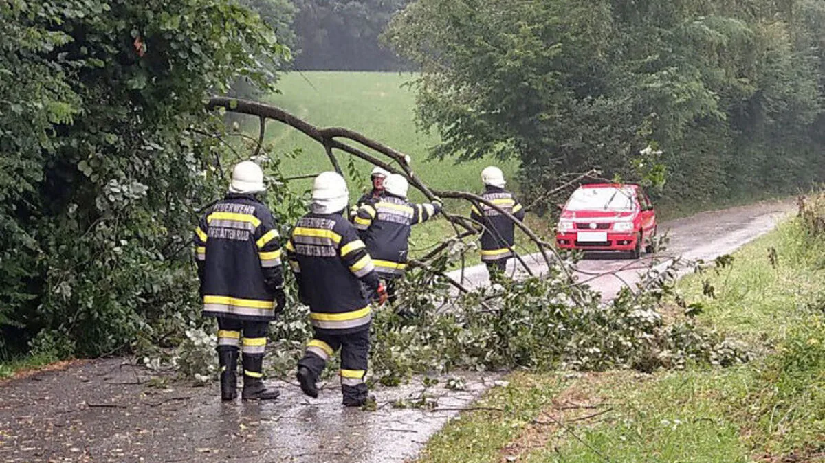 Die Bäume wurden entfernt, der Pkw befreit