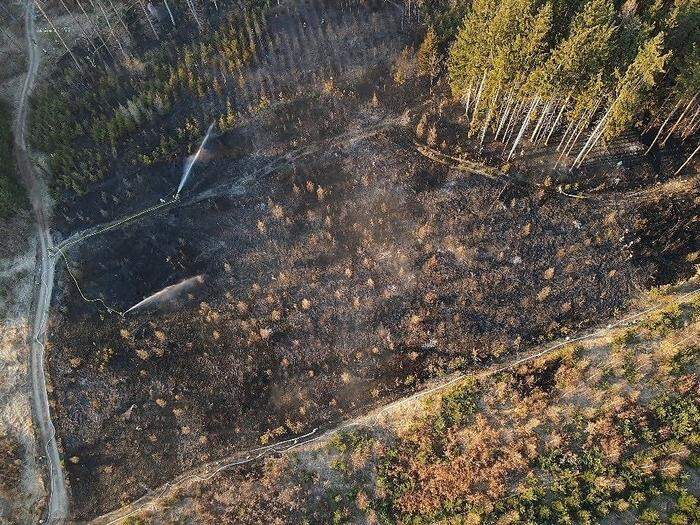 Fast 200 Einsatzkräfte standen am Mittwoch bis in den Abend im Löscheinsatz. Drei Hektar Wald brannten nieder
