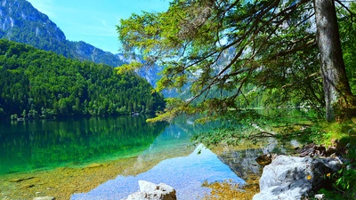 Erleben Sie den Nationalpark Gesäuse, eine der eindrucksvollsten Naturlandschaften Österreichs