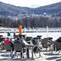 Sonnenanbeter hatten es in diesem Winter gut. Zumal auch die Temperatur mitspielte