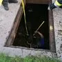 Eine Kuh war auf einem Bauernhof in die Güllegrube gefallen