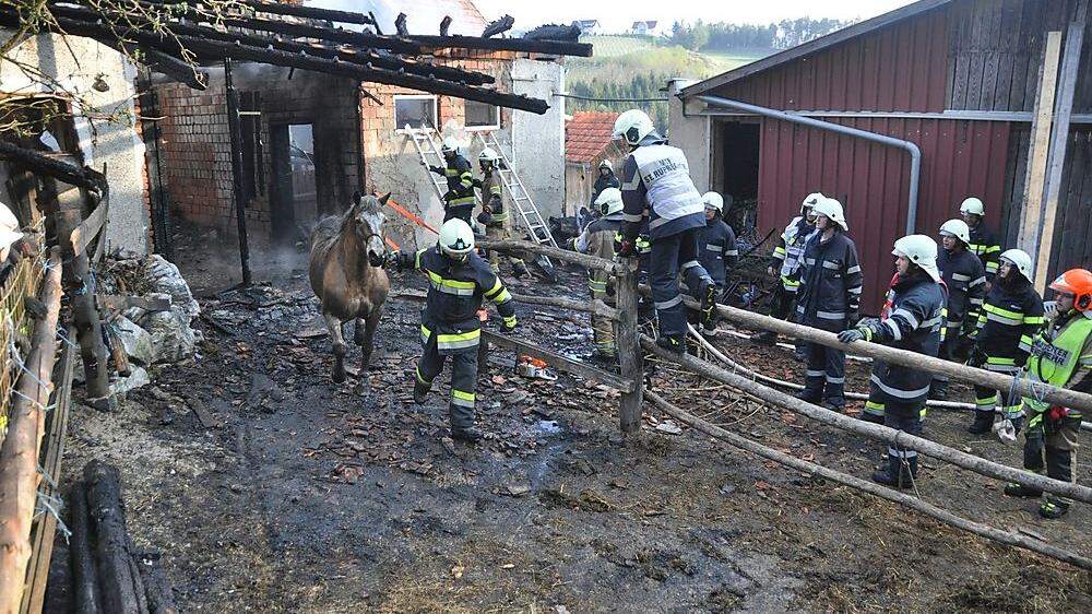 Bei dem Brand in St. Ruprecht entstand ein Sachschaden von 300.000 Euro