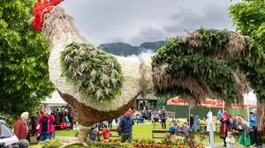 „Der Hahn namens Martin“ konnte sich gegen die Konkurrenz durchsetzten