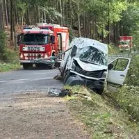 Der Lenker dieses Kleintransporters kam aus unbekannten Gründen von der Fahrbahn ab