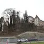 Wegen Gefahr im Verzug: Die Eschen am Hang unter dem Schloss Greißenegg mussten entfernt werden