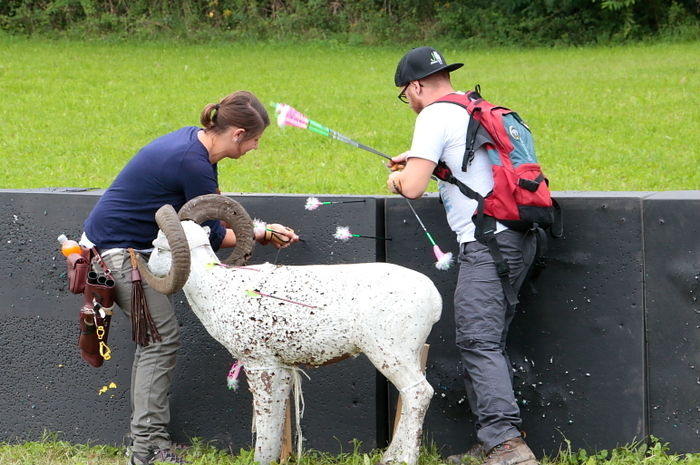 Gezielt wurde auf Wildtiere aus Kunststoff.