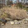 Das Biotop im Stadtpark Spittal ist derzeit nicht wirklich einladend. Das soll sich ändern