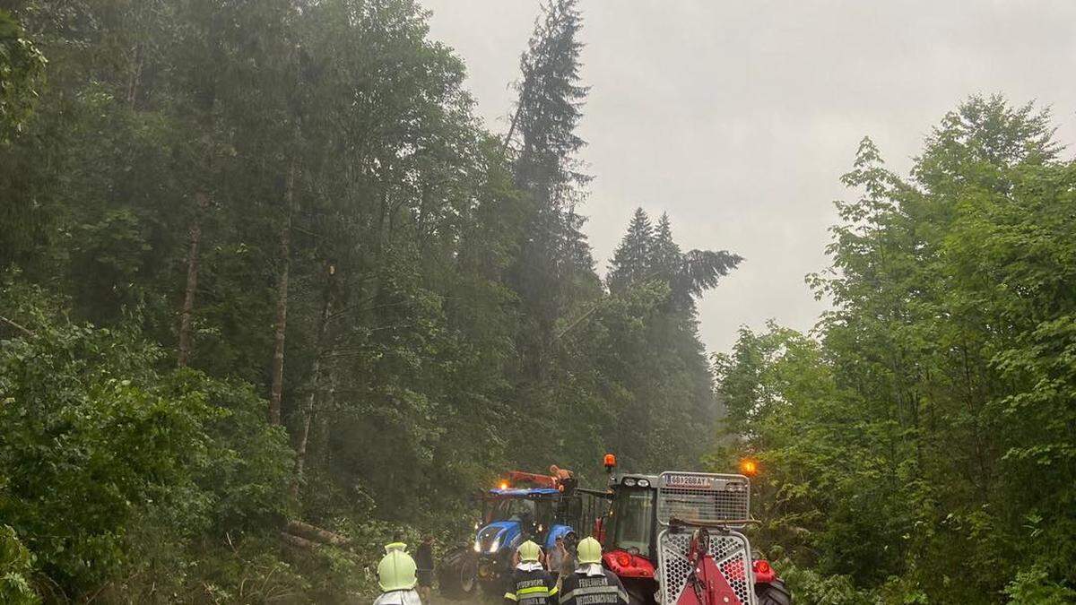 Unter anderem zeichneten Kräfte der Feuerwehr Weißenbach bei Haus für das Entfernen der auf die Straße gestürzten Bäume verantwortlich