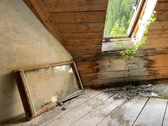 Wo kein Mensch mehr lebt oder unterkommt, dort übernimmt immer wieder die Natur