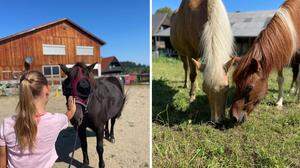 Gezielte Übungen mit Pferden sollen Kinder vor Mobbing schützen