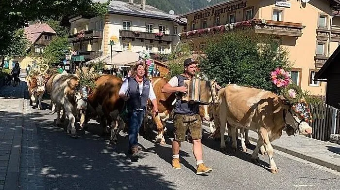 Wie Anneliese und Hans Glantschnig junior kamen am Samstag mehrere Bauern und Helfer mit ihren geschmückten Tieren vom Mallnitzer Tauerntal zum Festplatz.