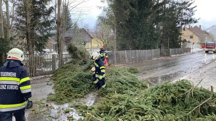 Im Kurort Aflenz blockierte ein Baum die Straße.
