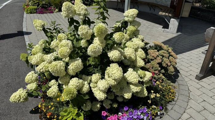 Kategorie „Schönste Katastralgemeinde“: Diamant und fünf Floras für Weißenbach in Haus im Ennstal