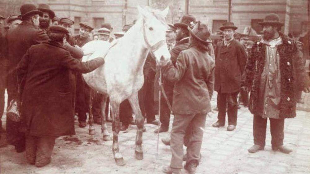 Pferdehandel um 1900. Die Händler wussten, das Pferde, welche Arsen erhielten, ausdauernder waren. Dadurch stieg der Preis