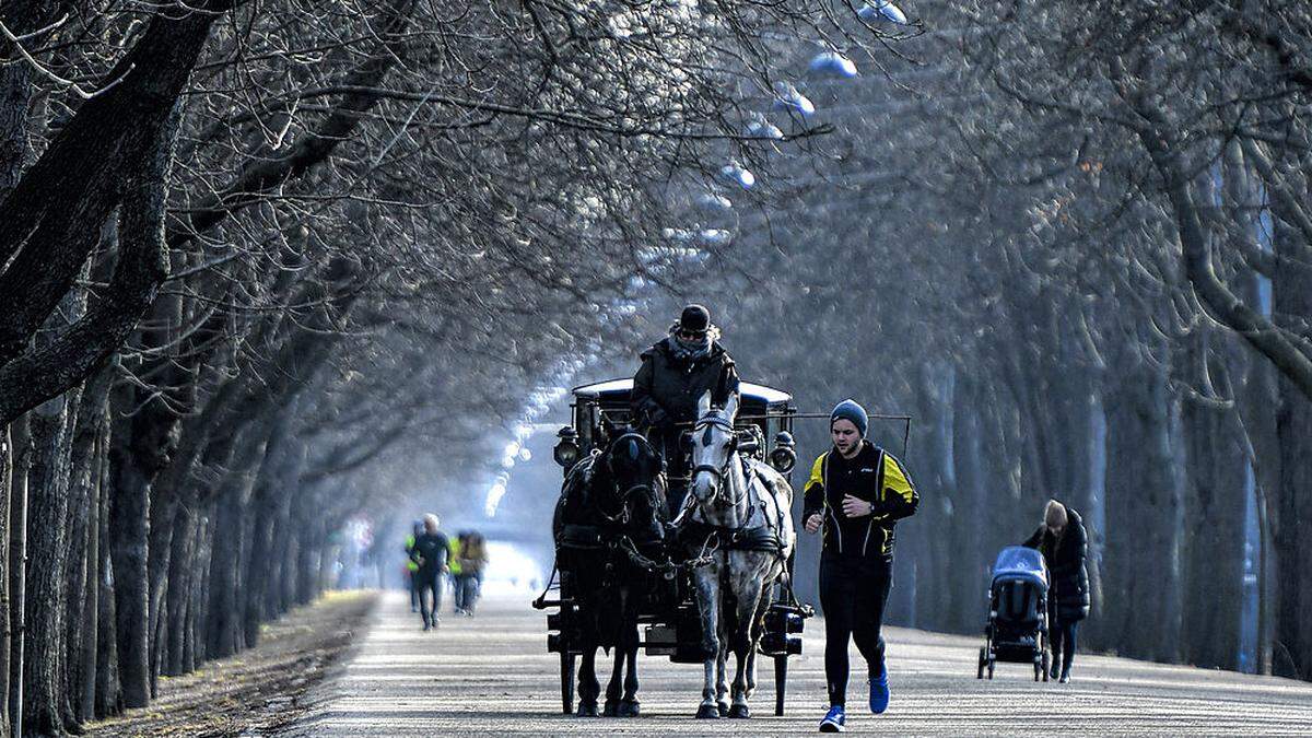 Pferdegespann auf der Praterhauptallee im Februar 2019 in Wien
