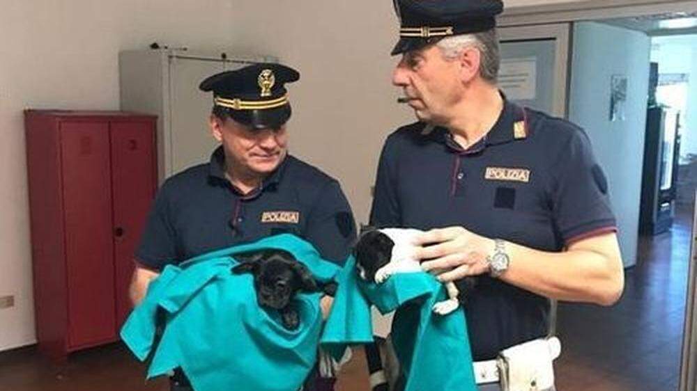 Italienische Polizisten mit den Hunden