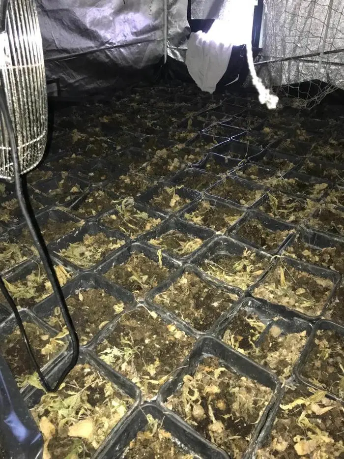 Über 5500 Pflanzentöpfe wurden ausgehoben