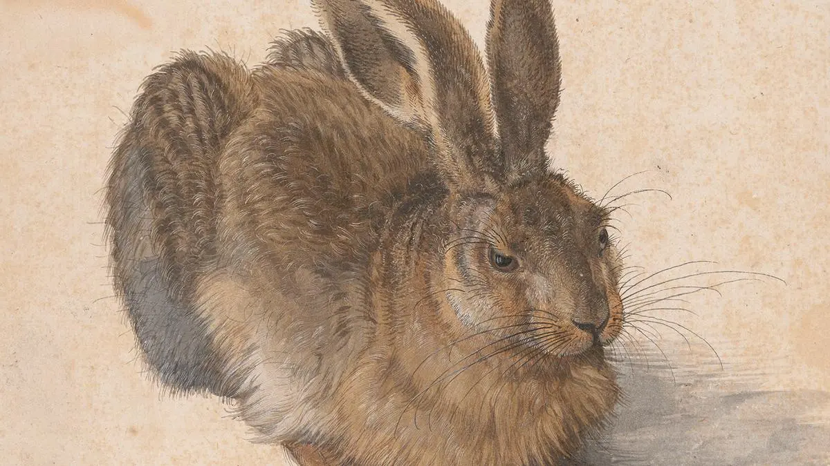 Albrecht Dürer, Feldhase 1502