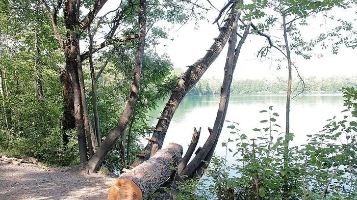 Unfallstelle am Hochstraßer See