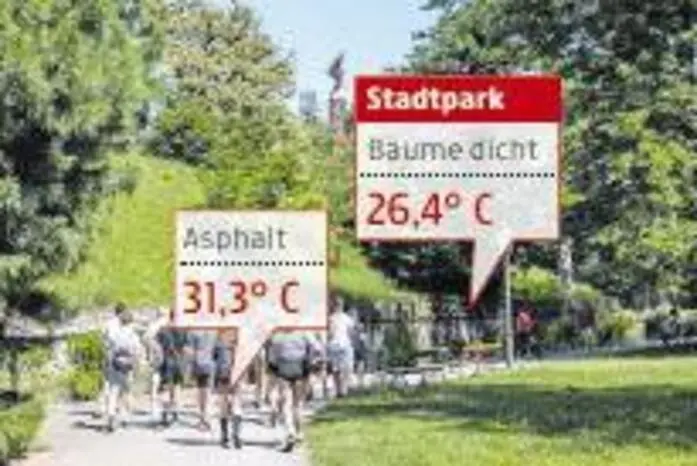 ... man einmal im Schatten der Bäume und einmal am blanken Asphalt misst?