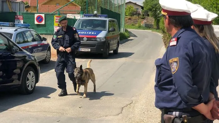 Nach Leichenfund in St. Peter-Freienstein sucht die Polizei die Umgebung mit Diensthunden ab.