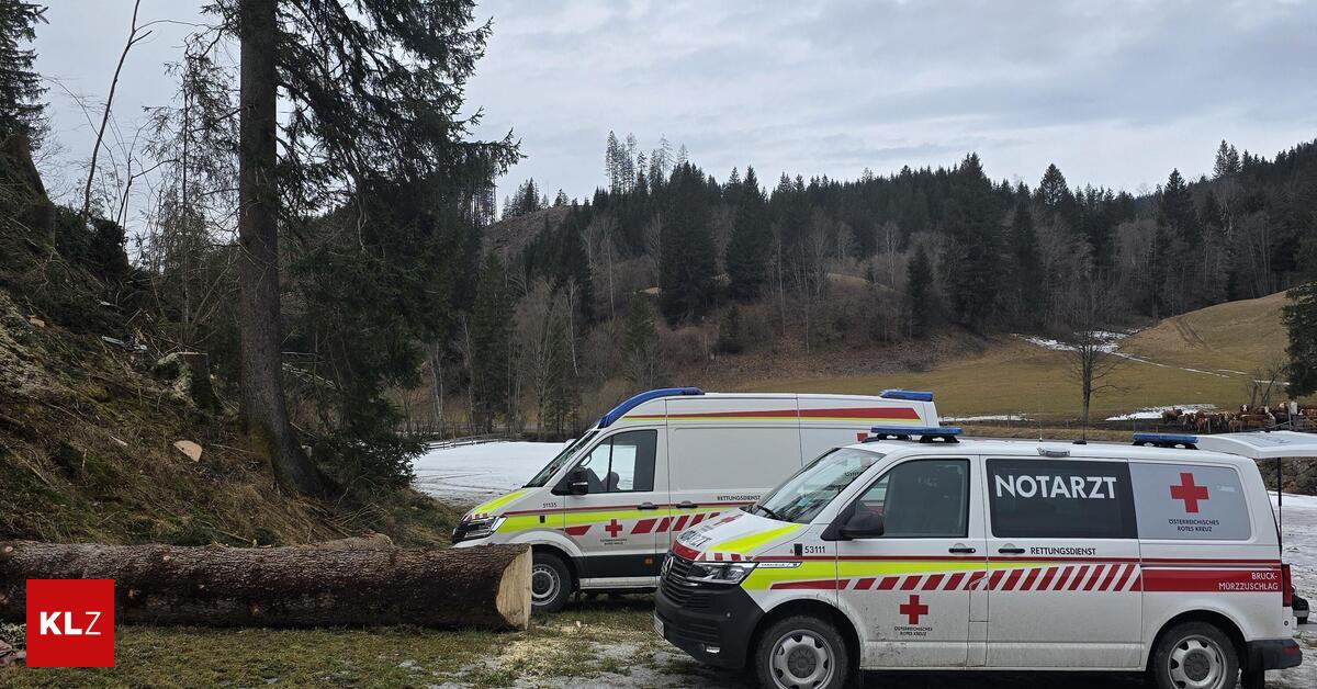 Im-Halltal-Bein-unter-meterlangem-Baumstamm-eingeklemmt-Schwerer-Forstunfall