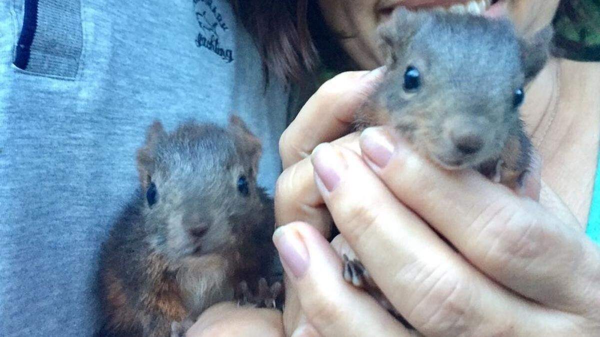 Schnuffi und Knuffi legen schon brav an Gewicht zu