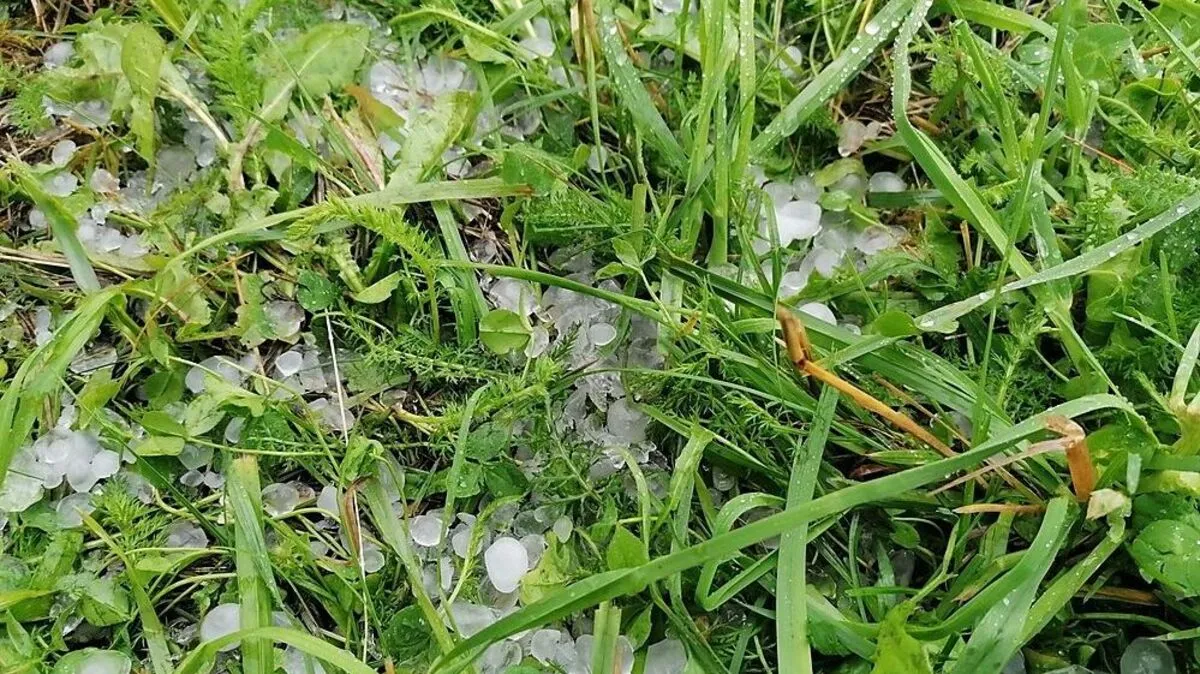 Hagel sorgte für Schaden in drei Bundesländern