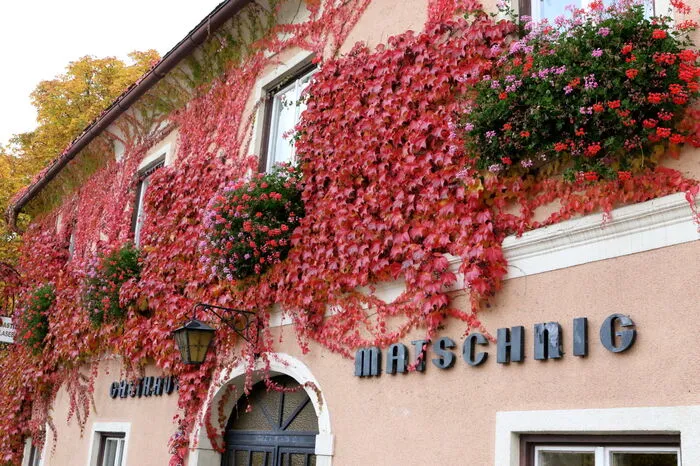 Der Start erfolgte frühmorgens beim Gasthof „Blasebauer“ und führte am Schloss Frauenstein vorbei zum Kulm und wieder zurück nach Kraig. 