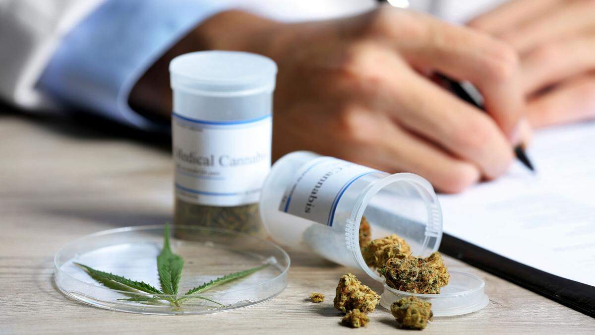Fachleute fordern, dass die Potenziale von Cannabis als Medikament noch besser erforscht werden