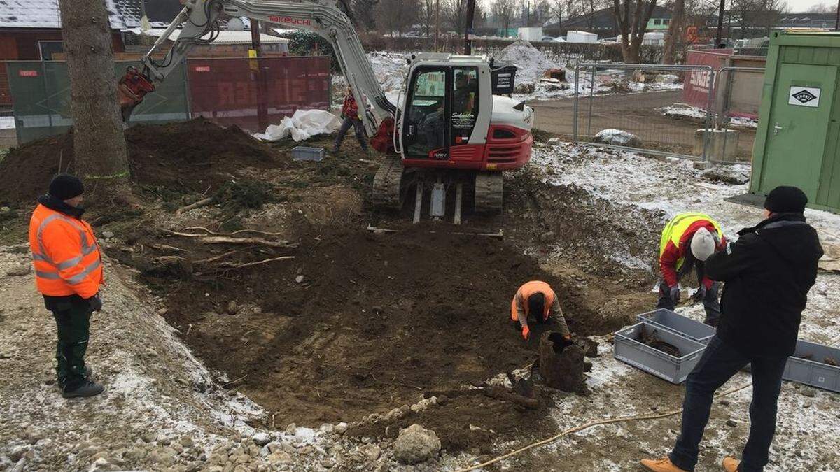 Archäologische Grabungen in Liebenau