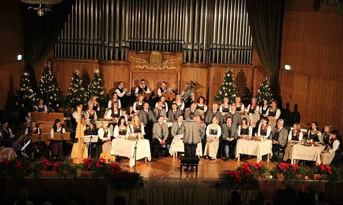 Der Singkreis Seltenheim