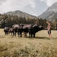 20 Wagyu-Rinder nennt Andreas Wieser aus Gröbming sein Eigen. Die Herde soll größer werden, so der Plan