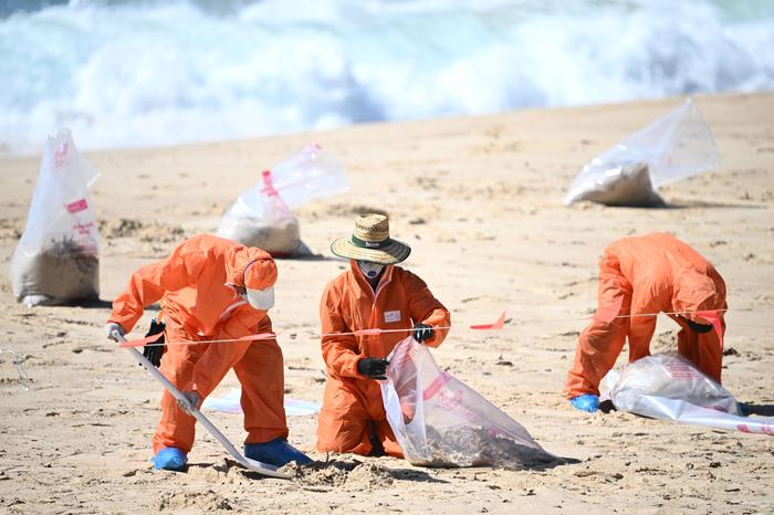 Das Material zur Untersuchung wurde sicher vom Strand entfernt