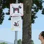 Seit sechs Jahren gibt es das Hundeverbot am Silbersee