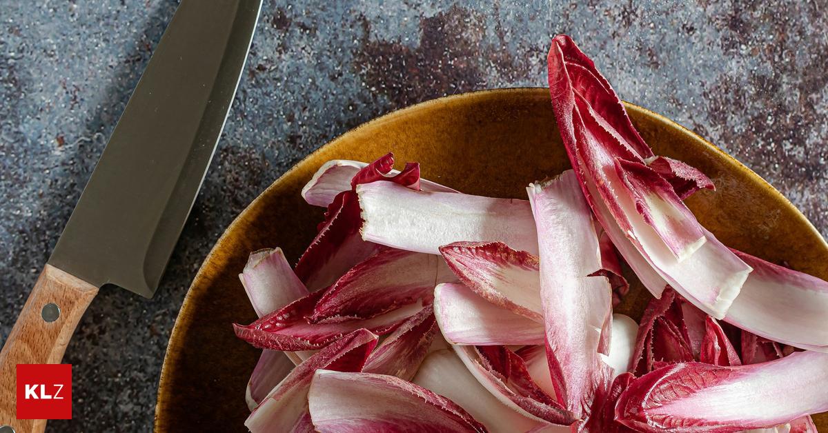 Dagobert-Rezept: Chicorée auf polnische Art