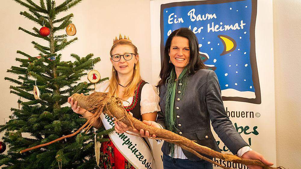 Christbaum-Prinzessin Judith und Obfrau Martina Lienhart mit einer Nordmanntannen-Wurzel