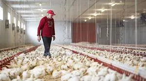 Franz Dorner in seinem Betrieb im Lavanttal. Er setzt sich für strenge Richtlinien und Kontrollen ein – aber innerhalb der ganzen EU