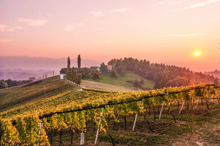 Die sanft fallenden Hügeln, die Zypressen, die Weingärten und natürlich die hervorragenden Schmankerln und der Wein: Die Südsteiermark weiß zu betören 