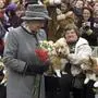 Queen Elizabeth II. liebte Corgis 