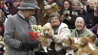Queen Elizabeth II. liebte Corgis 