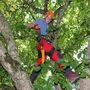 Robert Rogatsch arbeitet als Arborist für den Maschinenring Kärnten in der Baumpflege und Baumkontrolle