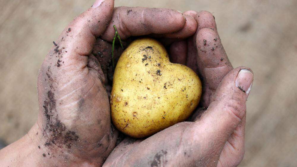 Ein Herz für Bio haben immer mehr Bauern